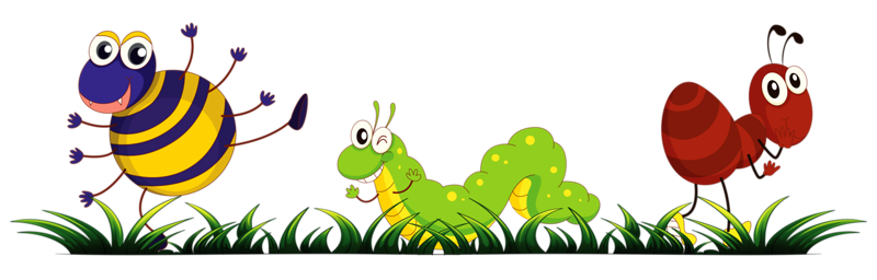 bugs