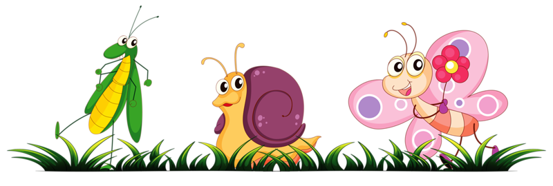 bugs