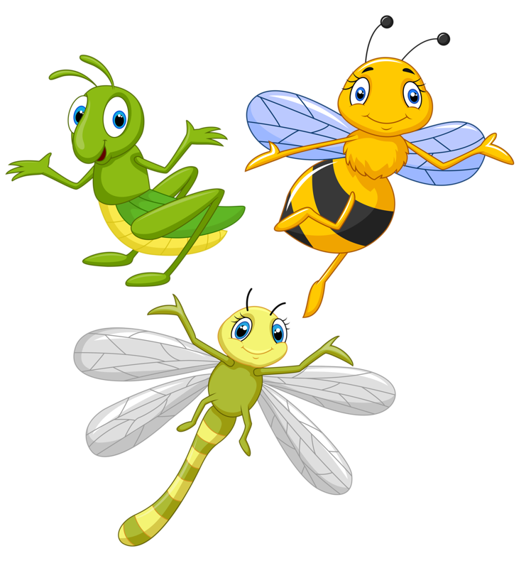 bugs
