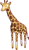websilvita r%B%D