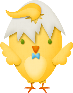 pollito