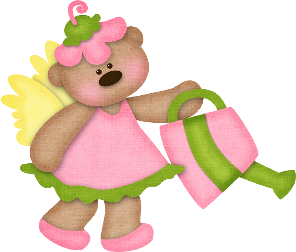 csc sal bear