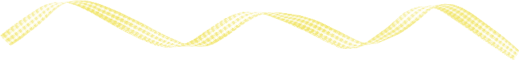csc sal ginghamribbonyellow
