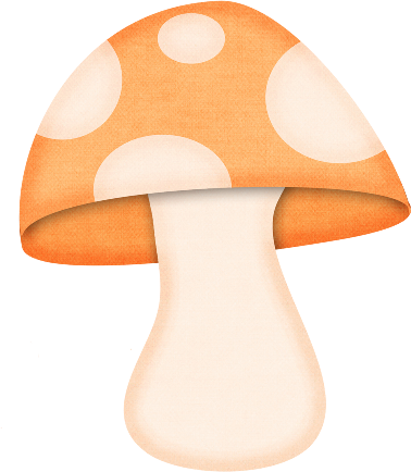 csc sal mushroomorange
