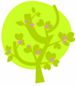 dora spring