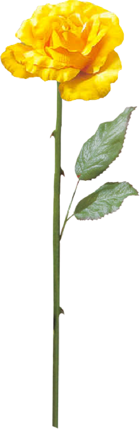 cflowers