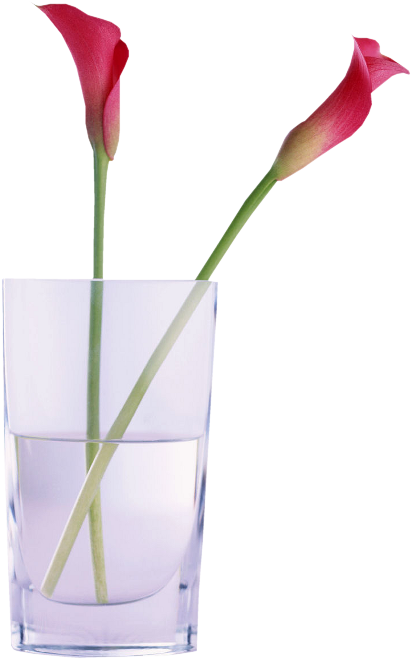 cflowers