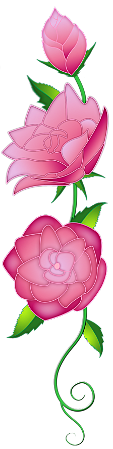 dp flowertranspAC