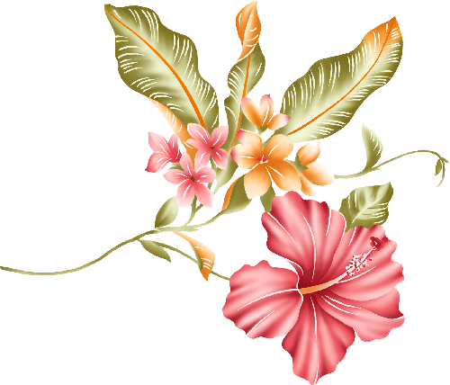 Flores