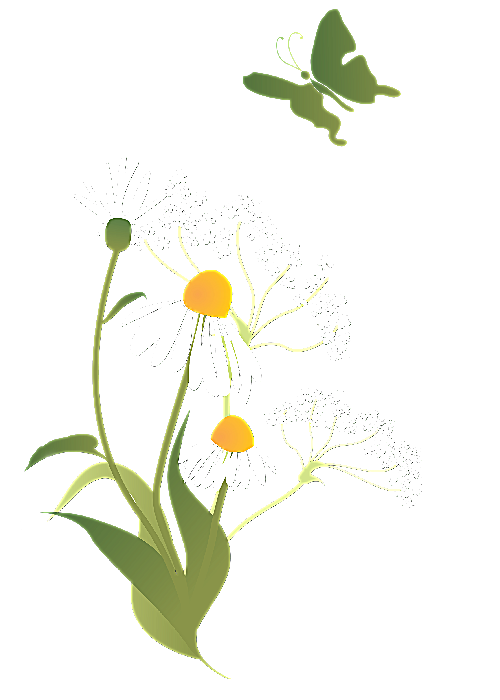 floralcluster
