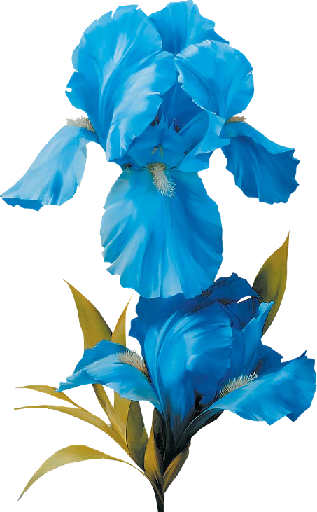 floralcluster
