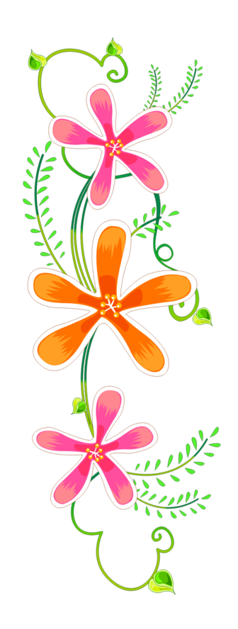 Flores