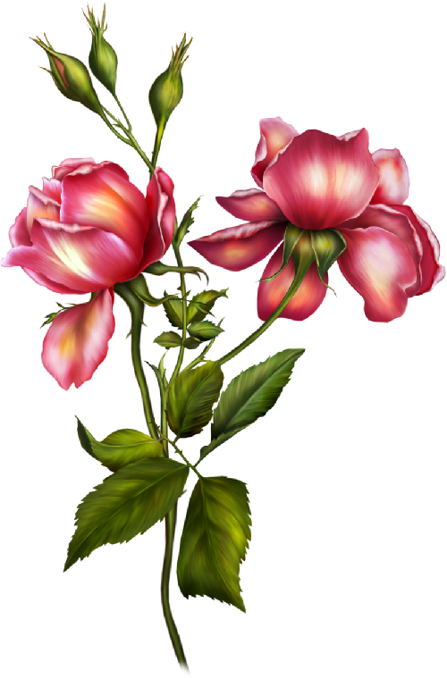 Flores