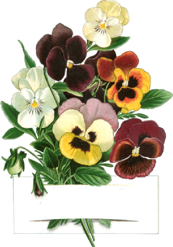 flowerk