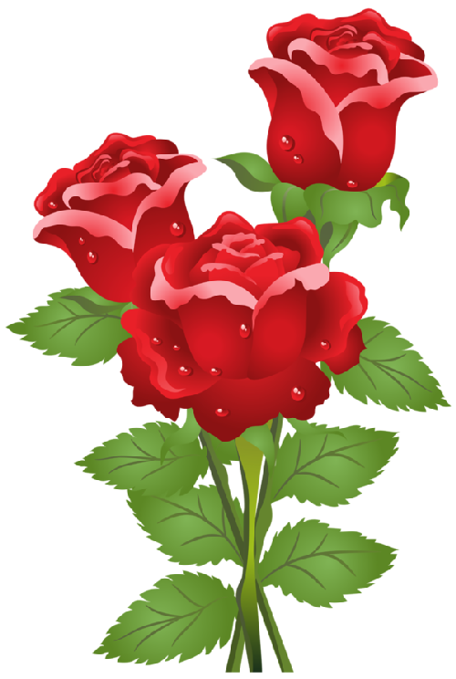 Flores