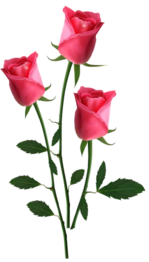 RosesClipArtImage