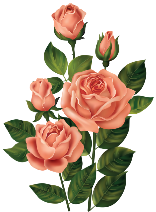 RosesClipArtImage