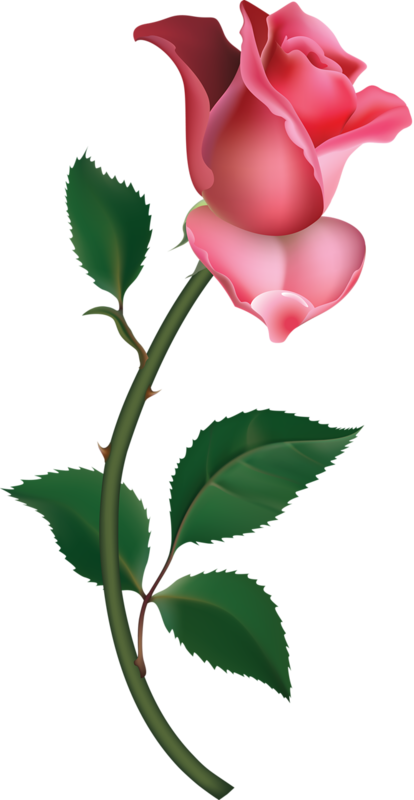 RosesClipArtImagea