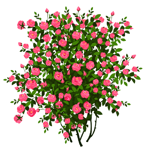 RosesClipArtImagea