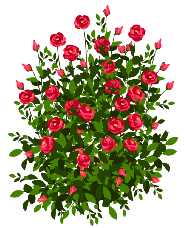 RosesClipArtImageab