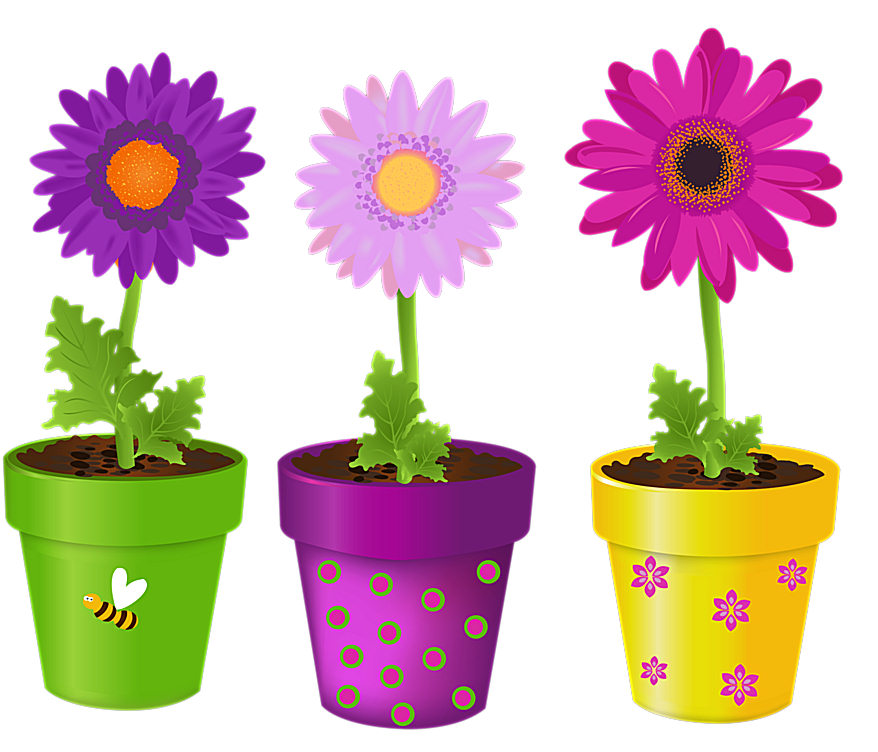aaa