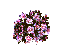 flowers%B%D