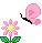 cff