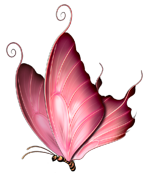 Butterflya