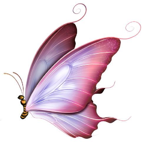 Butterflya