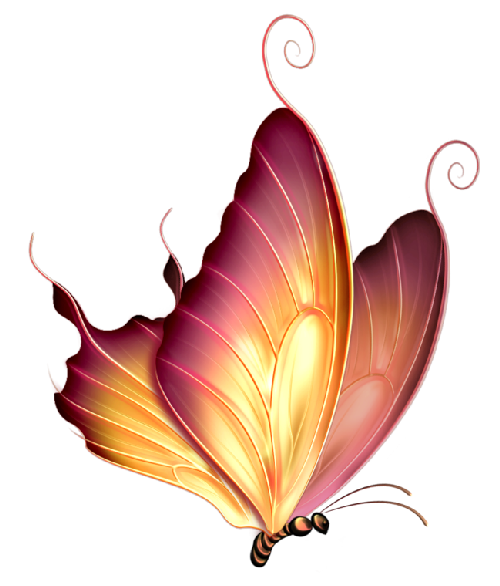 Butterflya