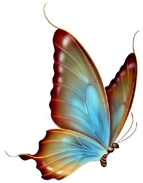 Butterflya