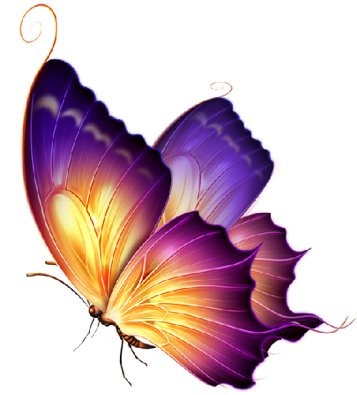 Butterflya