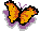 papillons