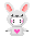 kigu rabbit