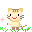 neko