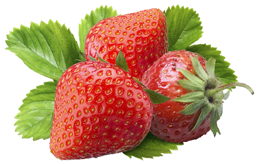 proudmommyof fruits