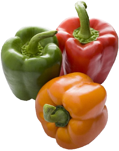 proudmommyof veggie