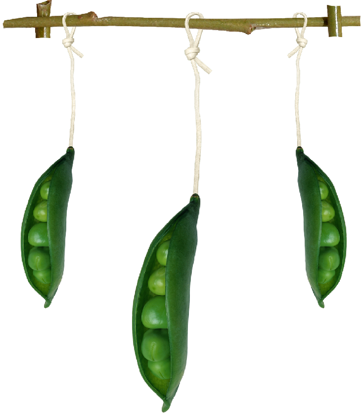 Vegetales, hortalizas, frutas, utensilios de cocina Ilustraciones en Png para Manualidades