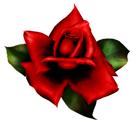 rojo%%