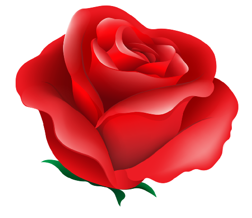 rojo