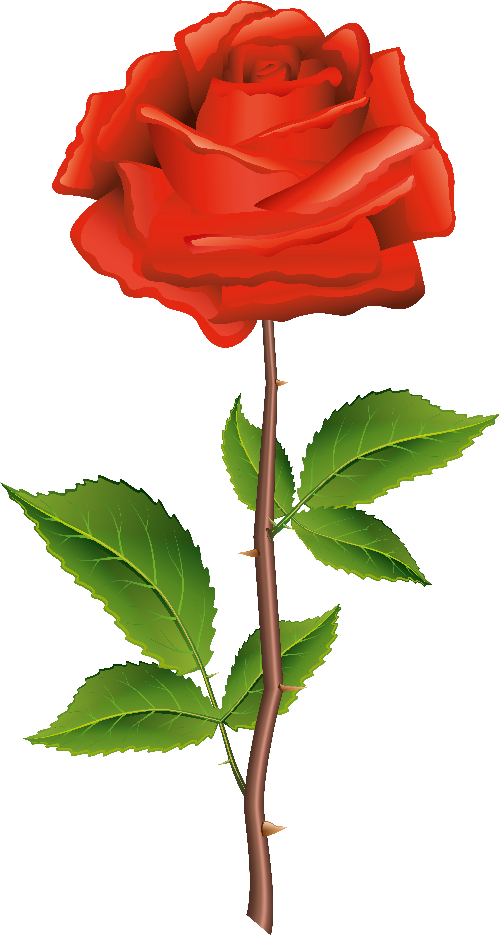 rojoroza