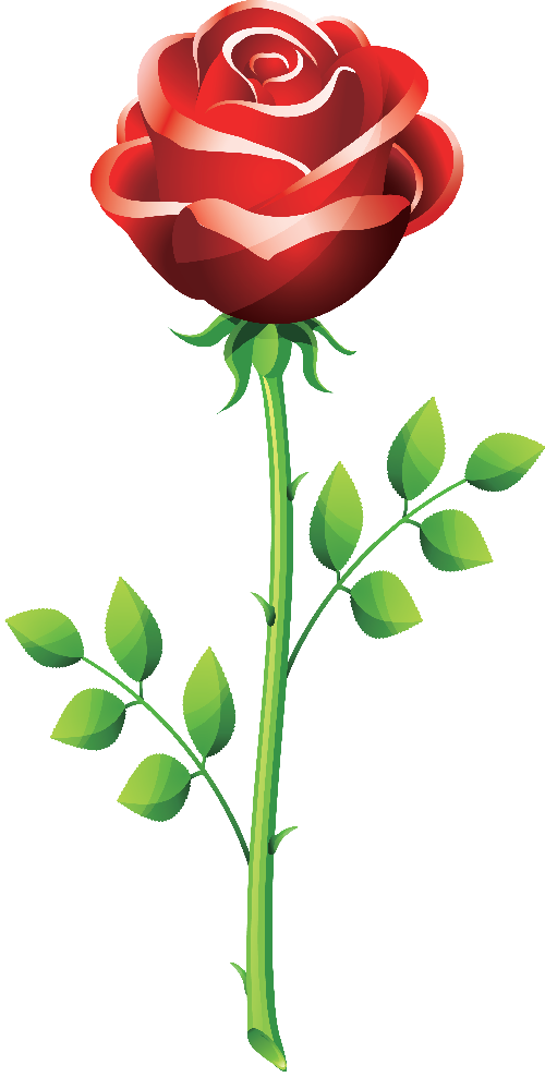 rojoroza