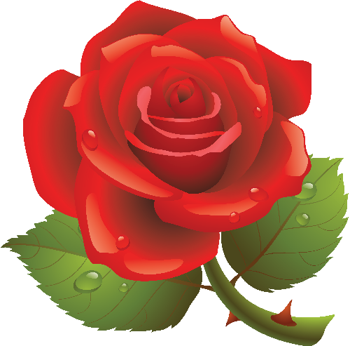 rojoroza