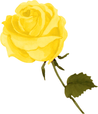 rosabymollysilvitablanco