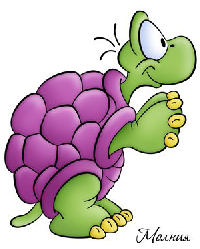 Tortugas Turtles Tortuguitas Imágenes tamaño grande art collection Art Illustration