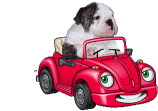 auto rojo