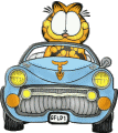 cargarfield