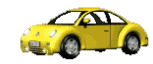 stad beatle