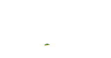 discovoador