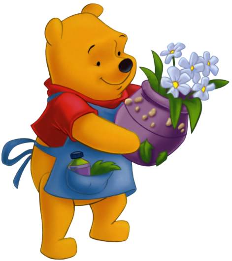 Pooh flowers molly